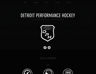 detroitperformancehockey.com screenshot