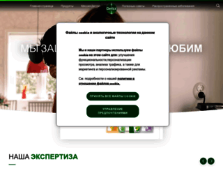 dettol.ru screenshot