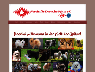 deutsche-spitze.de screenshot