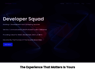 developersquad.com screenshot