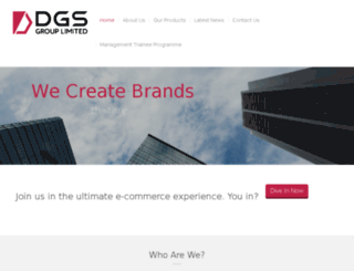 dgsgroup.com.hk screenshot