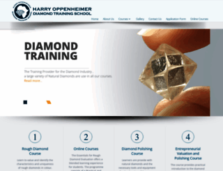 diamondtrainingschool.co.za screenshot