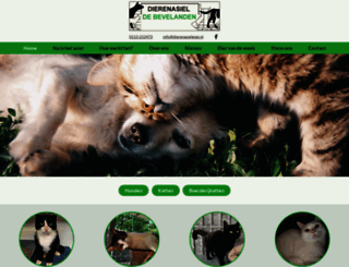 dierenasielgoes.nl screenshot