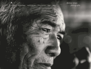 dietmartemps.com screenshot