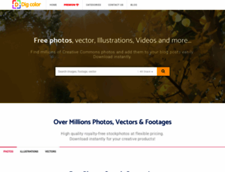 digcolor.com screenshot