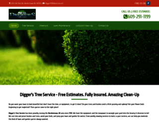 diggerstreeservice.com screenshot