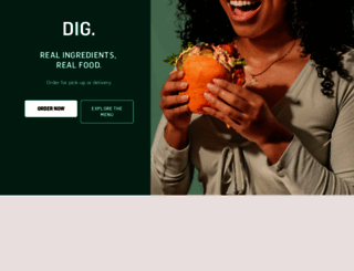 diginn.com screenshot