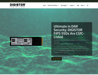 digistorssd.com screenshot