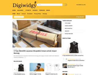 digiwidgy.com screenshot