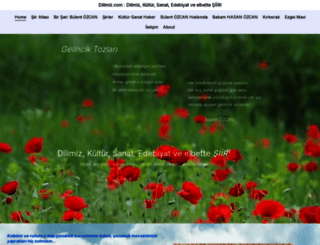 dilimiz.com screenshot