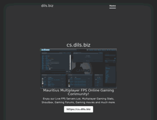 dils.biz screenshot