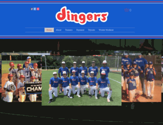 dingersathleticscages.com screenshot