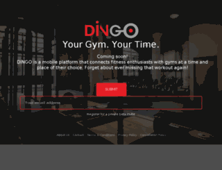 dingo.co.in screenshot
