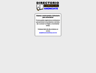 directorioenlinea.com.mx screenshot