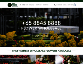 directwholesaleflower.com screenshot