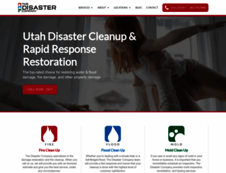 disastercompany.com screenshot