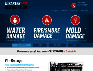 disasterpros.com screenshot