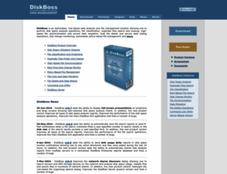 diskboss.com screenshot