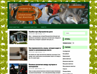 dixi-wild.com screenshot