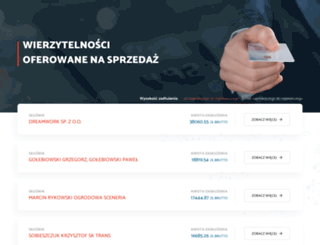 dluznik.co.pl screenshot
