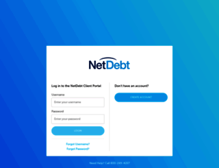 dm.netdebt.com screenshot