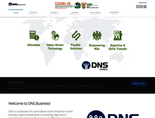 dns.net.za screenshot