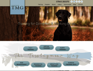 dog-training4u.co.uk screenshot