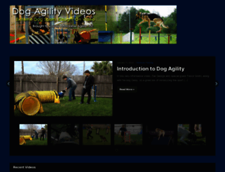 dogagilityvideos.com screenshot