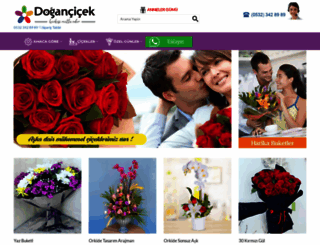 dogancicek.com screenshot