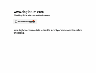 dogforum.com screenshot