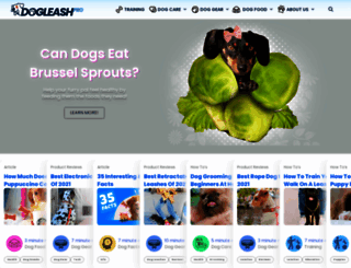 dogleashpro.com screenshot