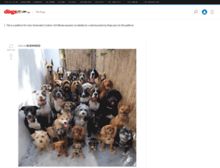 dogs.kinja.com screenshot