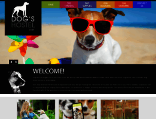 dogshostel.com screenshot