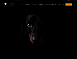 dogsoncamera.com screenshot
