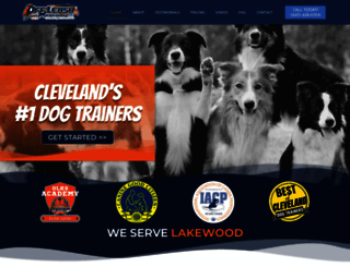 dogtrainercleveland.com screenshot
