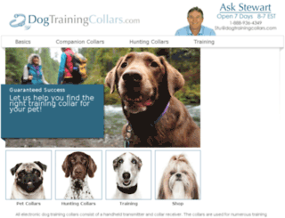 dogtrainingcollars.com screenshot