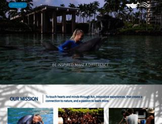 dolphinquest.com screenshot