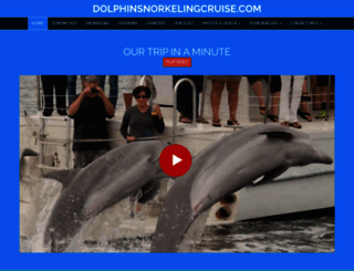 dolphinsnorkelingcruise.com screenshot