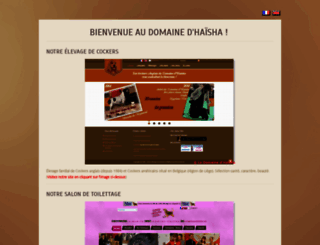 domainehaisha.com screenshot