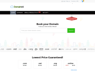 domainms.com screenshot