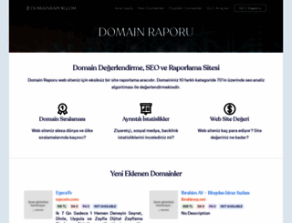 domainrapor.com screenshot