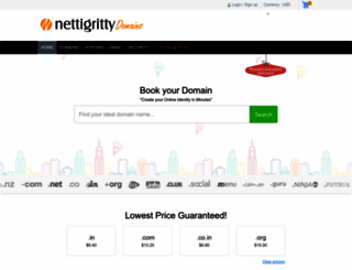 domains.nettigritty.com screenshot