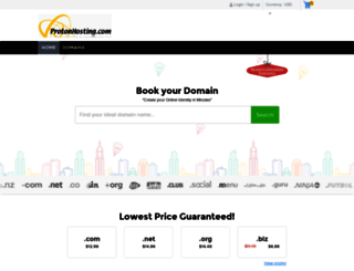 domains.protonhosting.com screenshot