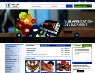domaxyb2b.com screenshot