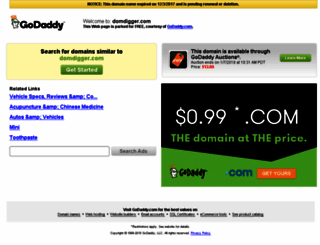 domdigger.com screenshot