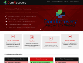 domrecovery.com screenshot