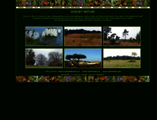dorsetnature.co.uk screenshot
