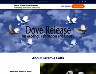 dove-guy.com screenshot
