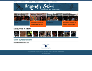 dragonflyschool.com screenshot