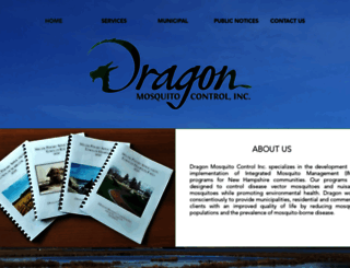 dragonmosquito.com screenshot